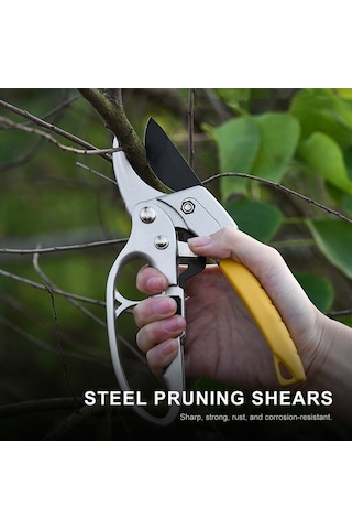 Pazly Çelik Bıçaklı Budama Makasları - Ergonomik Saplı Bahçe Makası, Bonsai Kesici, Budama Makası