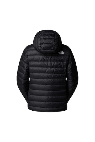 F0a8d3ejk31-r The North Face W Classıc Down Hooded Jacket Kadın Ceket Siyah F0a8d3ejk31-r Siyah