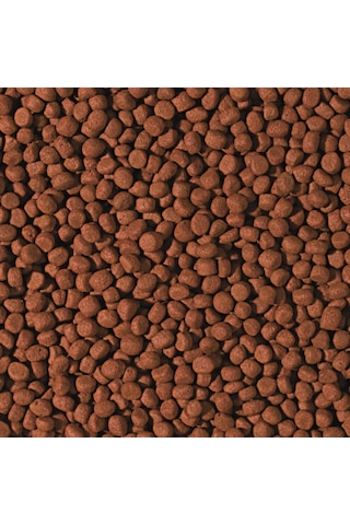 Tropical Cichlid Carnivore Medium Pellet 100 Gr Açık Tropical Cichlid Carnivore Medium Pellet 100 Gr Açık