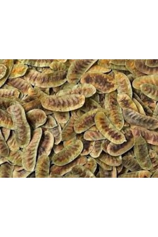 250 Gr Egzotik Şifalı Kabızlığa Şifa Bitki Aşlık Otu Yeni Mahsül