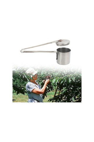 Homyl Küçük Meyveler Tarihleri İçin Paslanmaz Çelik