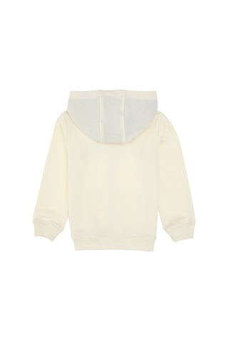 U.s. Polo Assn. Erkek Çocuk Hırka Örme 50313844-vr256 İnci