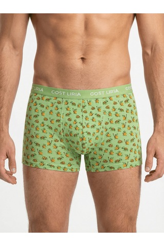 Gost Liria Tortoise Desenli Erkek Boxer Yeşil