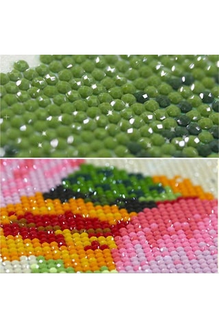 Padalink Tam Taşlı Kristal Zs314 Dıy Boyama Seti - 30x40cm Kanvas Tablo Ve Araç Takımı Siyah