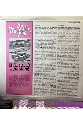 In The Good Old Summertime - The Gaslight Singers & Buffalo Bills Lp