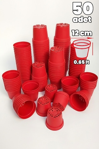 Kırmızı Plastik Saksı 12 Cm Kaktüs Ve Sukulent İçin 50 Adet