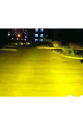 Gpr H3 Limon Sarısı Ampul Weather Vısıon Xenon Effect