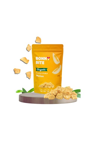 Kurutulmuş Çıtır Kavun Atıştırmalığı 18gr Diğer