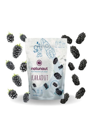 Natunaut Kuru Karadut Meyve Cipsi 20 G