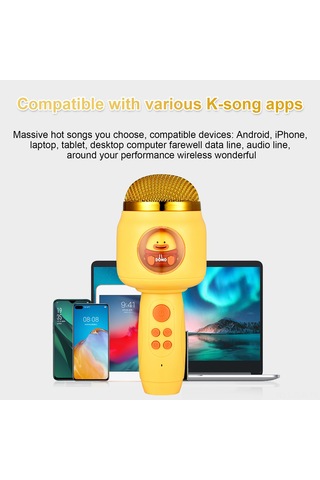 Xindoker Kablosuz Bluetooth Mikrofon, Taşınabilir El Mikrofonu, 1200mah Pil, Gürültü Azaltma, Parti Ve Ev Ktv İçin