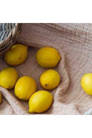 Apricitas Home Muslin Çift Kişilik Yatak Örtülü Nevresim Takımı June Bej