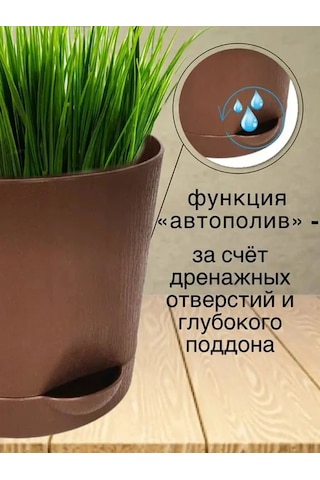 Interm Kaktüs Saksısı Minik Succulent, Menekşe Ve Çiçekler İçin Saksı 133193596