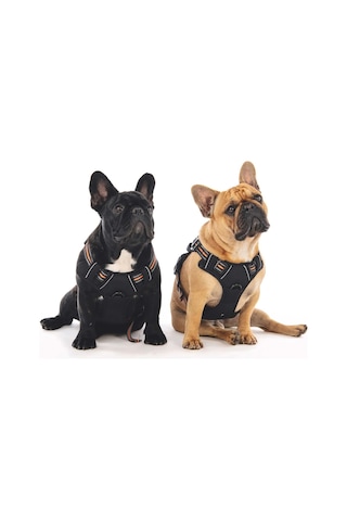 M-pets Hıkıng Reflektörlü Soft Köpek Göğüs Tasması Turuncu S Siyah