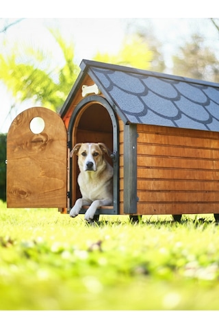Mandu Ahşap Köpek Kulübesi