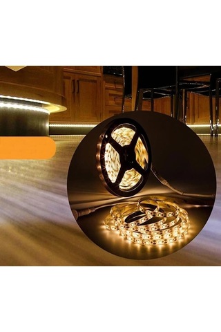 Cata Dış Mekan Silikonlu Günışığı Şerit Led Ct-4488 5 METRE