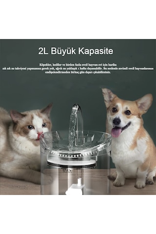 Interstech Akıllı Sessiz Kedi Sessiz Şeffaf Otomatik Pet Su Sebili