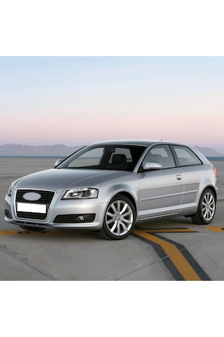 Audi A3 Hb 2009-2012 Anti Alerjen Klima Polen Filtresi 1k1819669