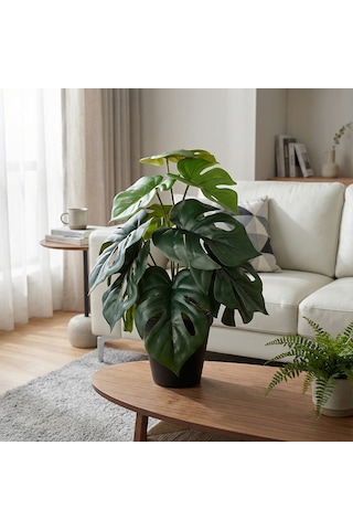 Koçtaş Yapay Bitki Monstera Çok Renkli