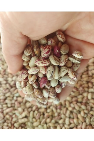 Köy Mahsulu Yerli Barbunya 1 Kg