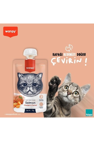 Wanpy Taze Somonlu&tavuklu Kedi Et Ezmesi 90 Gr Tekli
