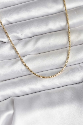 14k Gold Renk Kaplama İnce Zincir Model Cm Kadın Kolye Çok Renkli
