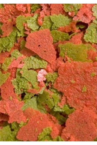 Ocean Nutrition Discus Flakes 34 Gr.