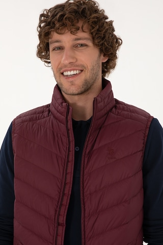 U.s. Polo Assn. Erkek Plum Yelek Dokuma 50310045-vr177 New Plum