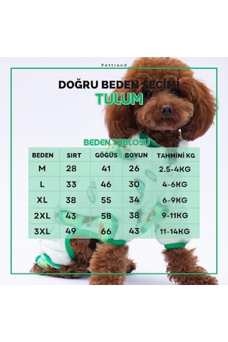 Avocado - Avokado Peluş Tulum Kedi Köpek Tulumu Kedi Köpek Kıyafeti Kedi Köpek Elbisesi Köpek Giysisi