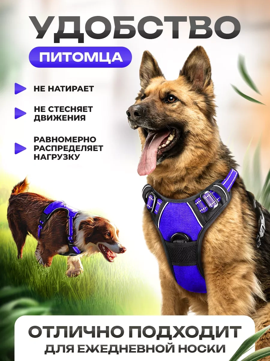 Petfort Orta Ve Büyük Irk Köpekler İçin Anatomik Koşu Kayışı 175517318 Violet