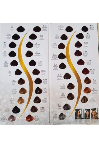 Sea Color 6.0 Koyu Kumral 2 Adet+Boyama Tarak+Fırça