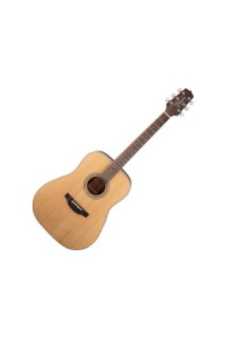 Takamine Gd20-Ns Akustik Gitar Kılıf + Askı + Pena