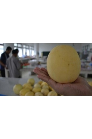 Elma Kavunu Tohumu 5 Adet Tohum Apple Melon Kavun Tohumu