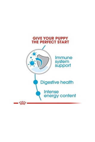 Royal Canin-mini Puppy Köpek Sı 2 Kg