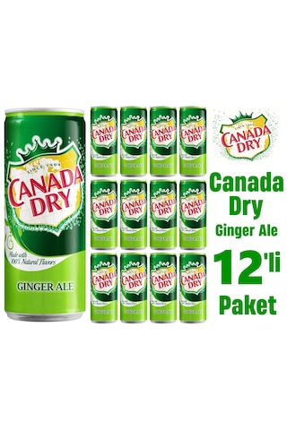 Canada Dry Ginger Ale 12 x 330 ML
