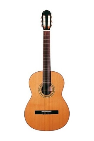 Mod11 Flamenko Gitar