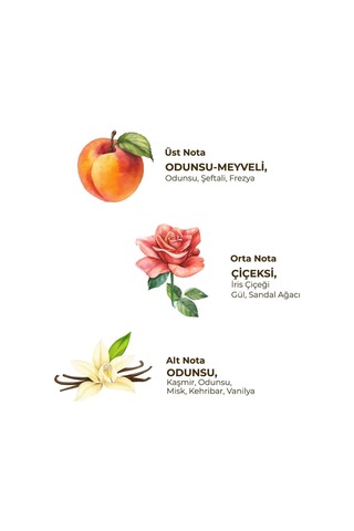 Soft - Kadın Roll On Deodorant 75 Ml Meyveli