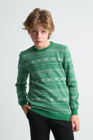 Alexandergardı Bisiklet Yaka Çocuk Triko Kazak C23-7103 Yeşil