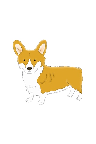 Paybuy Çocuk Tişört Corgi Baskılı Kısa Kollu Yuvarlak Yaka Rahat Kesim % Siyah