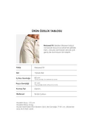 it's basic Kadın Raw 7s6-69 Relaxed Baggy Fit Nakış Detaylı Özel Tasarım Denim Jean Krem