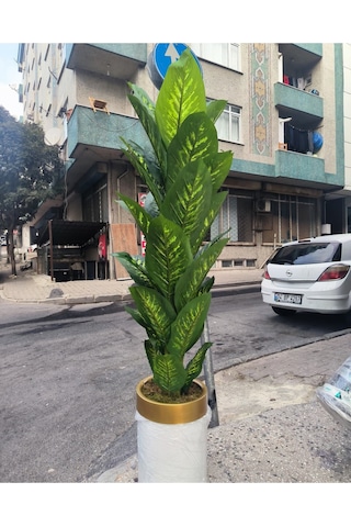 Rüzgar Yapay Çiçekçilik Krem Saksıda Difenbahya Ağacı Yeşil