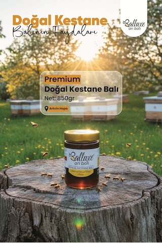 Balluxe Premium Doğal Kestane Balı Net: 850 G