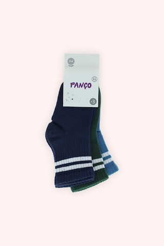 Panço Erkek Çocuk Soket Çorap Seti Renkli 2412BK11005