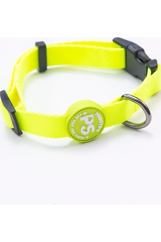 Neon Sarı Köpek Boyun Tasması Ayarlanabilir Köpek Tasması M