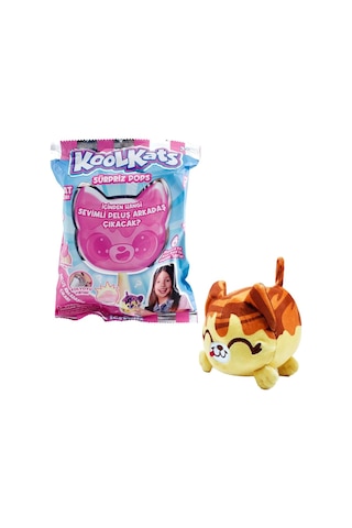 Sürpriz Peluş Kedi