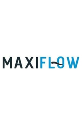 Maxiflow Maxıflow Ayaklı Wc Fırçalık Set Metalik