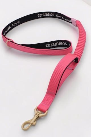 Köpek Gezdirme Tasması, Pembe, Anti Şok Esnek Bölümlü, Reflektörlü, 120-150 Cm, Orta Ve Büyük Irka Uygun Çok Renkli