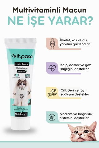 Vitpaw Multi Paste 100 G