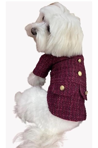 Bordo Tüvit Küçük Irk Köpek Ceketi