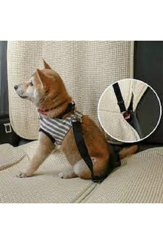 Ankaflex Evcil Hayvan Köpek Araç Emniyet Kemeri