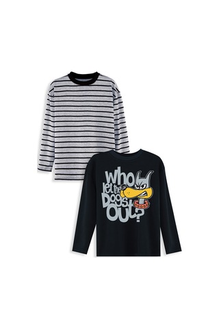 Denokids Erkek Çocuk 2'li Paket T-shirt Renkli